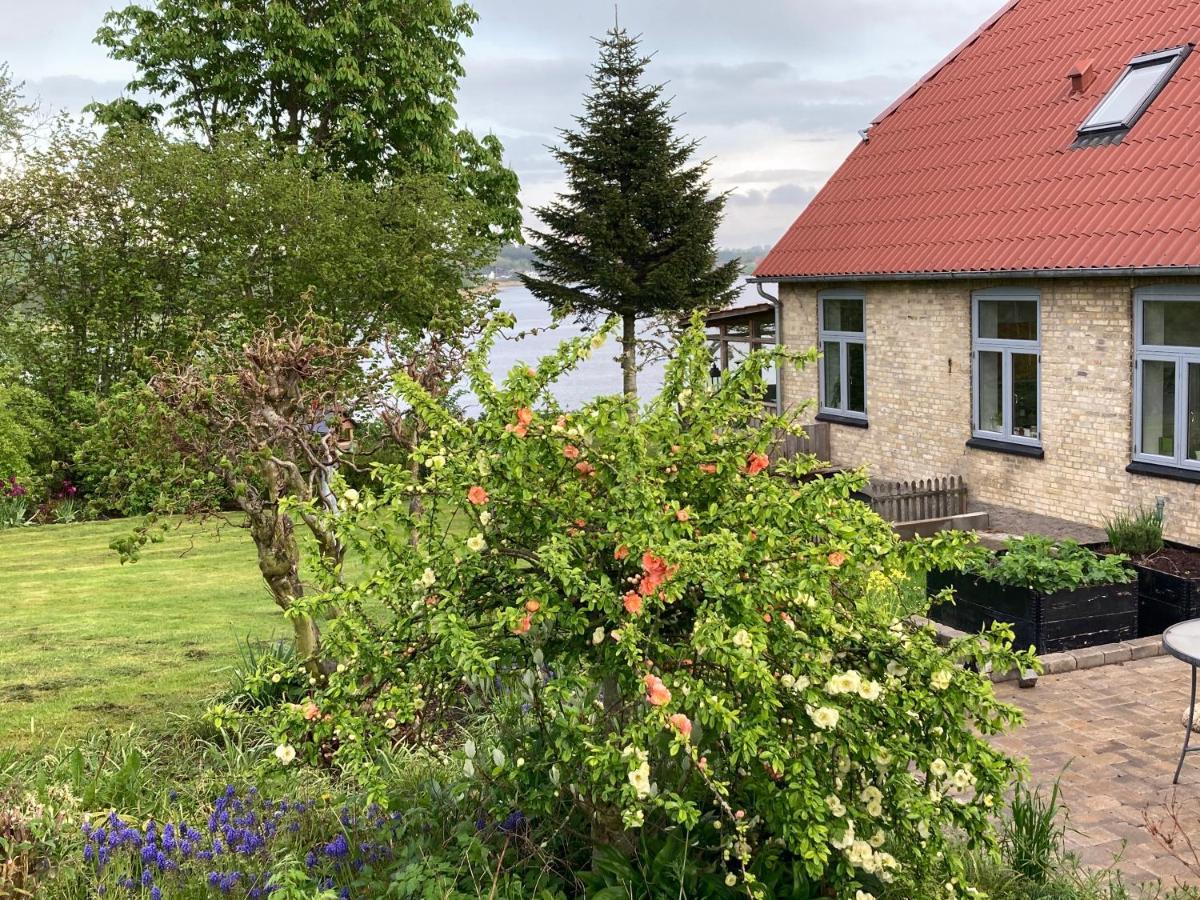 Bogebjerggard Bed & Breakfast Sonderborg Luaran gambar