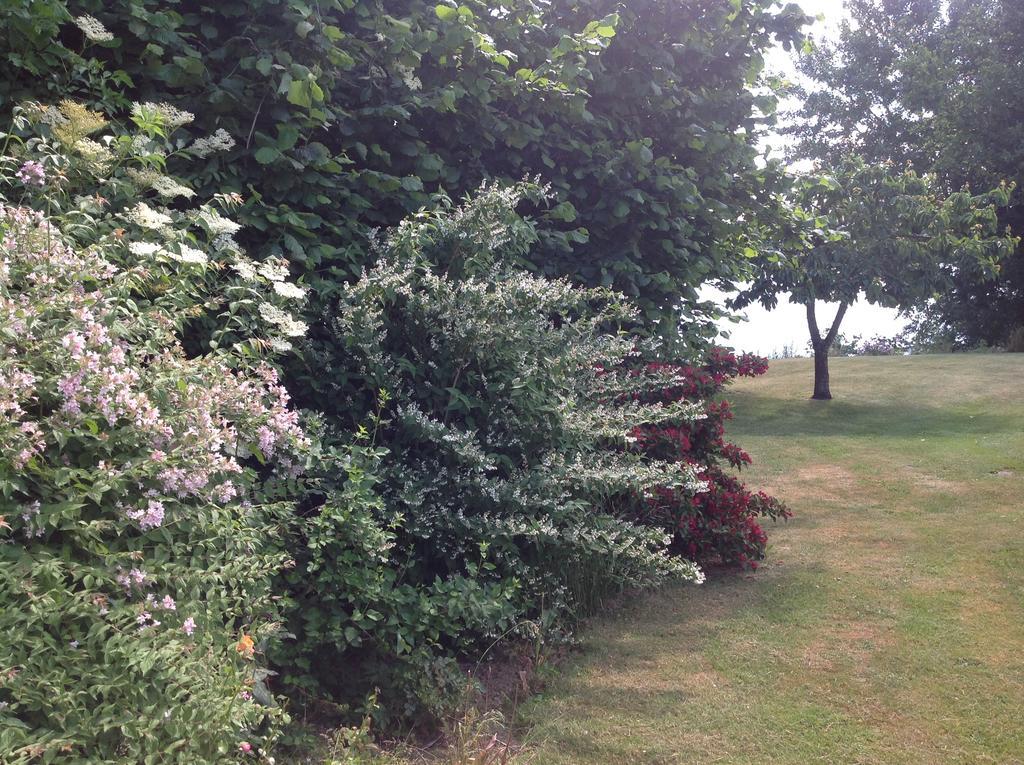 Bogebjerggard Bed & Breakfast Sonderborg Luaran gambar
