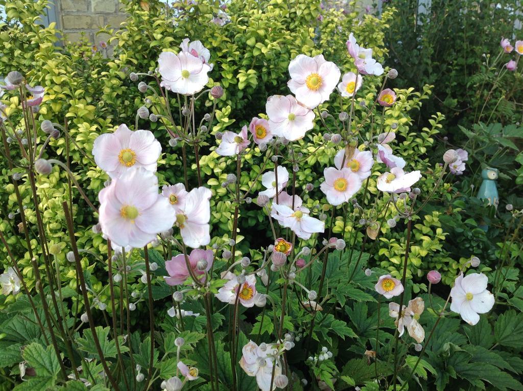 Bogebjerggard Bed & Breakfast Sonderborg Luaran gambar