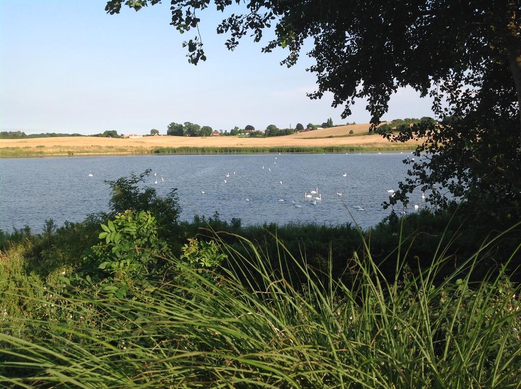 Bogebjerggard Bed & Breakfast Sonderborg Luaran gambar